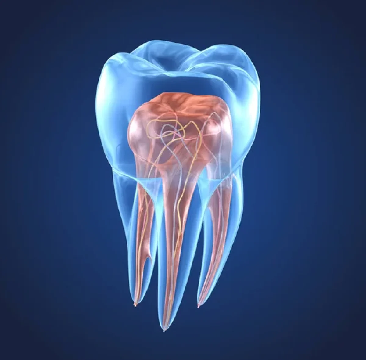 endodoncia-3
